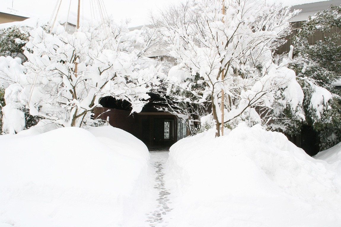 المظهر الخارجي