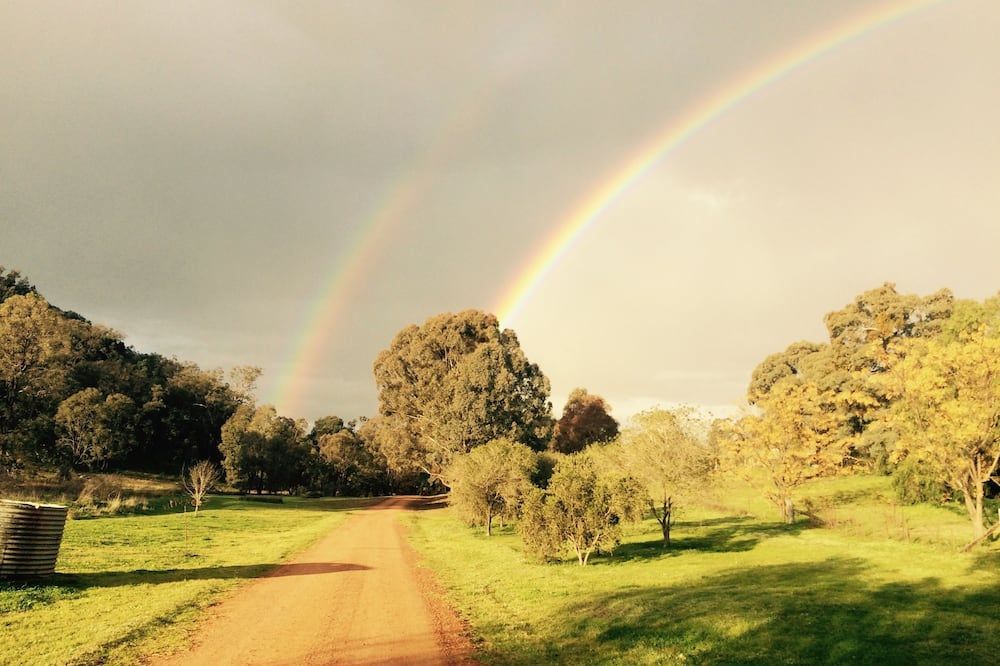 المظهر الخارجي