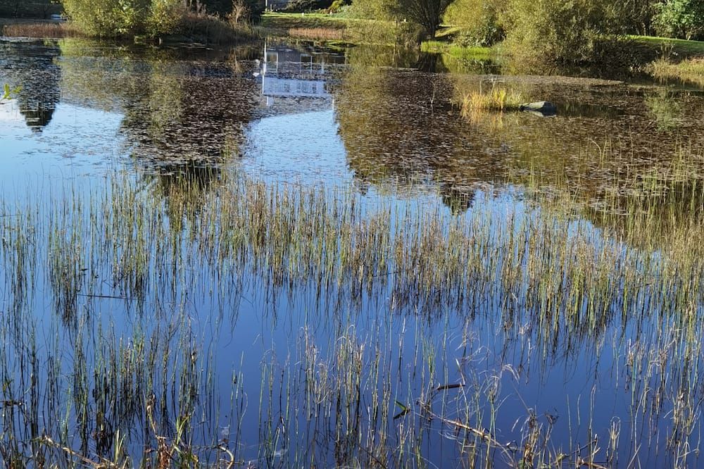 المظهر الخارجي