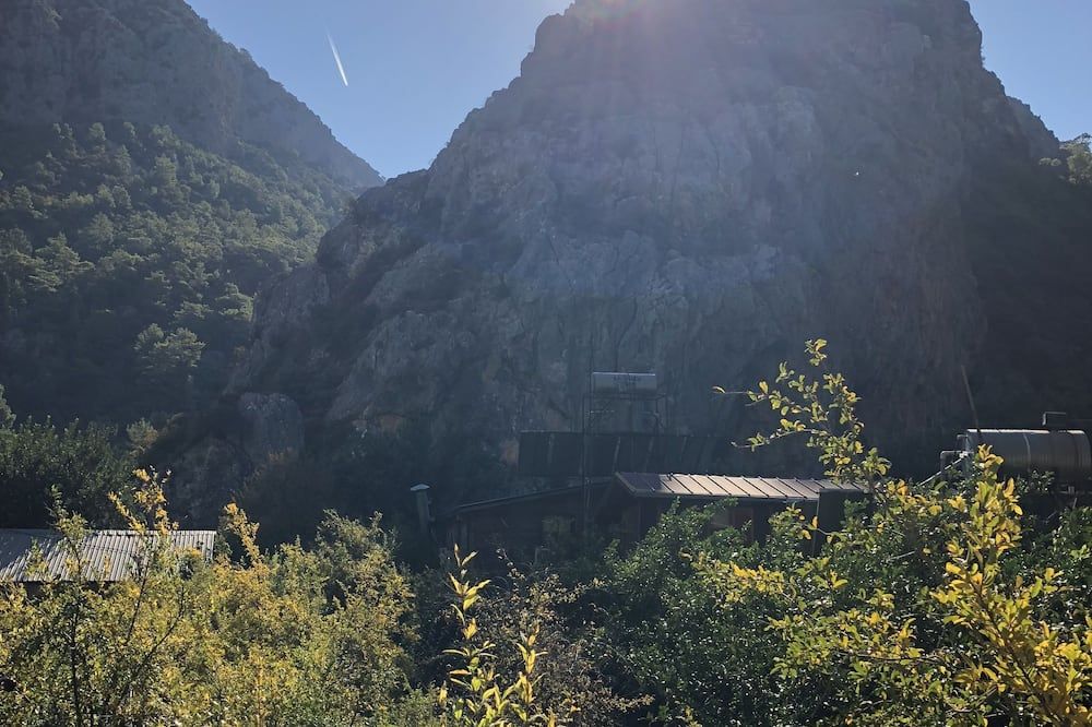 المظهر الخارجي