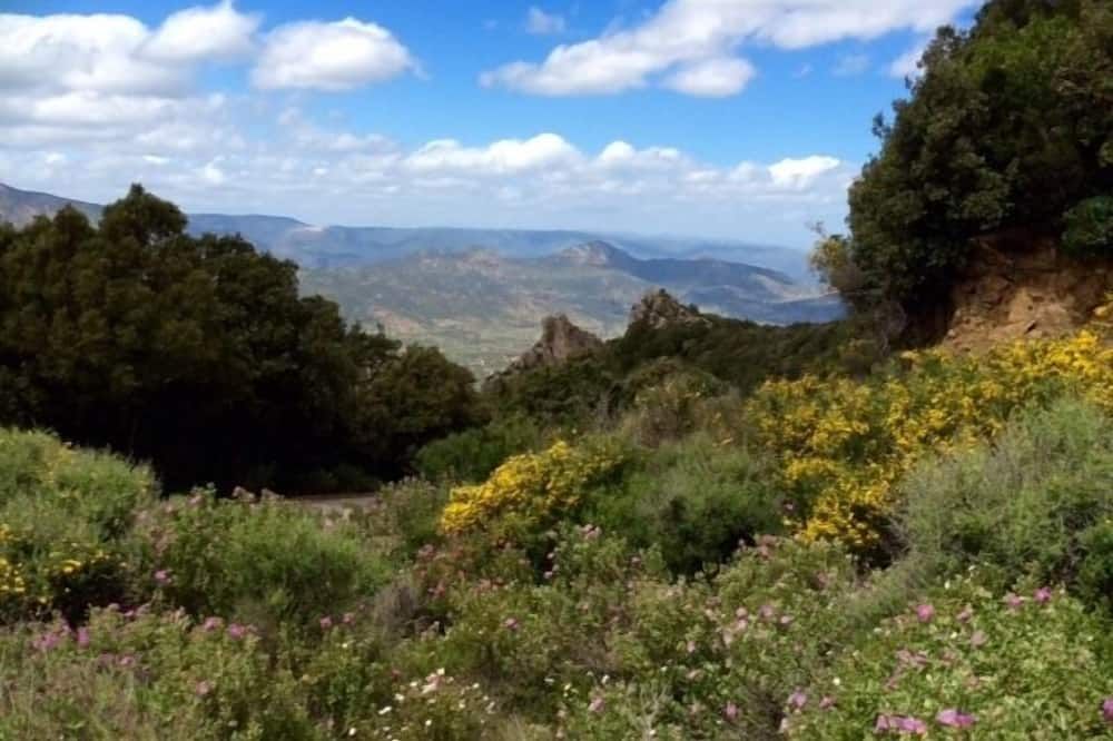 المظهر الخارجي