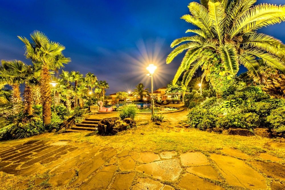 المظهر الخارجي