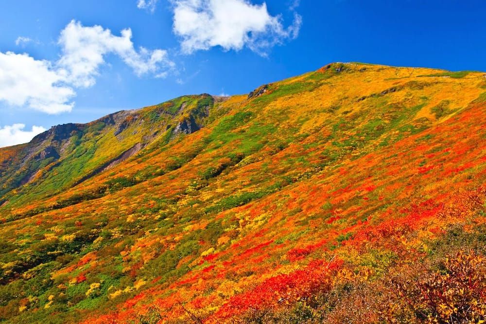 المظهر الخارجي