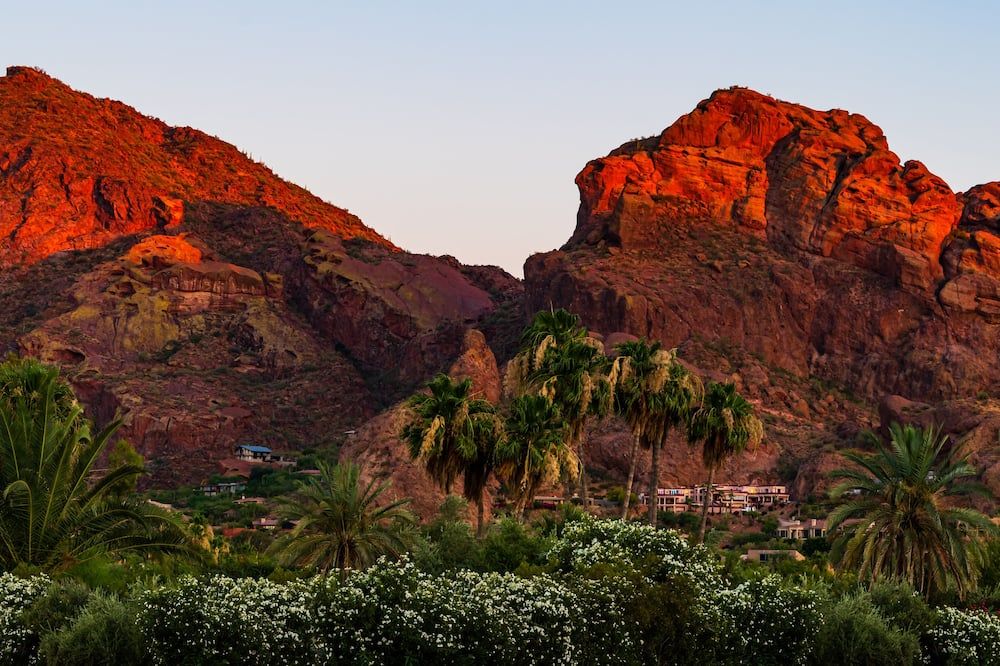 المظهر الخارجي