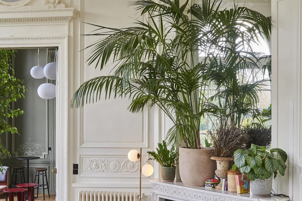 المظهر الخارجي