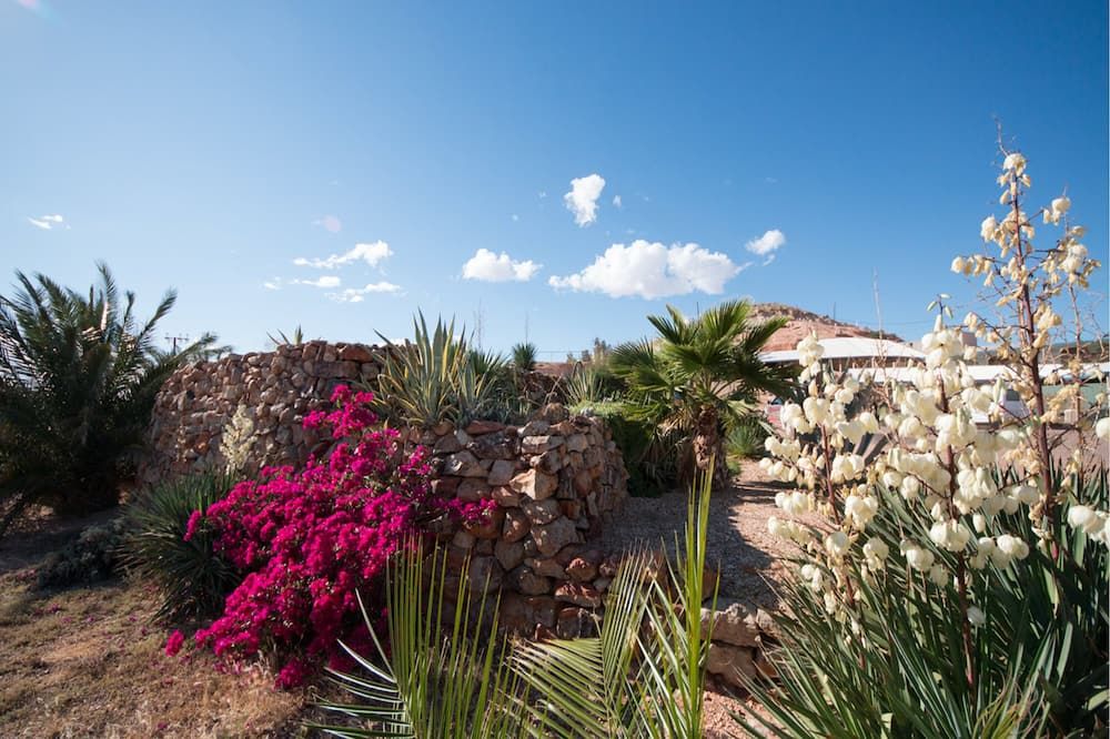 المظهر الخارجي