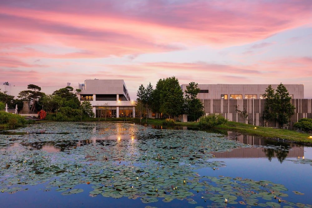 المظهر الخارجي