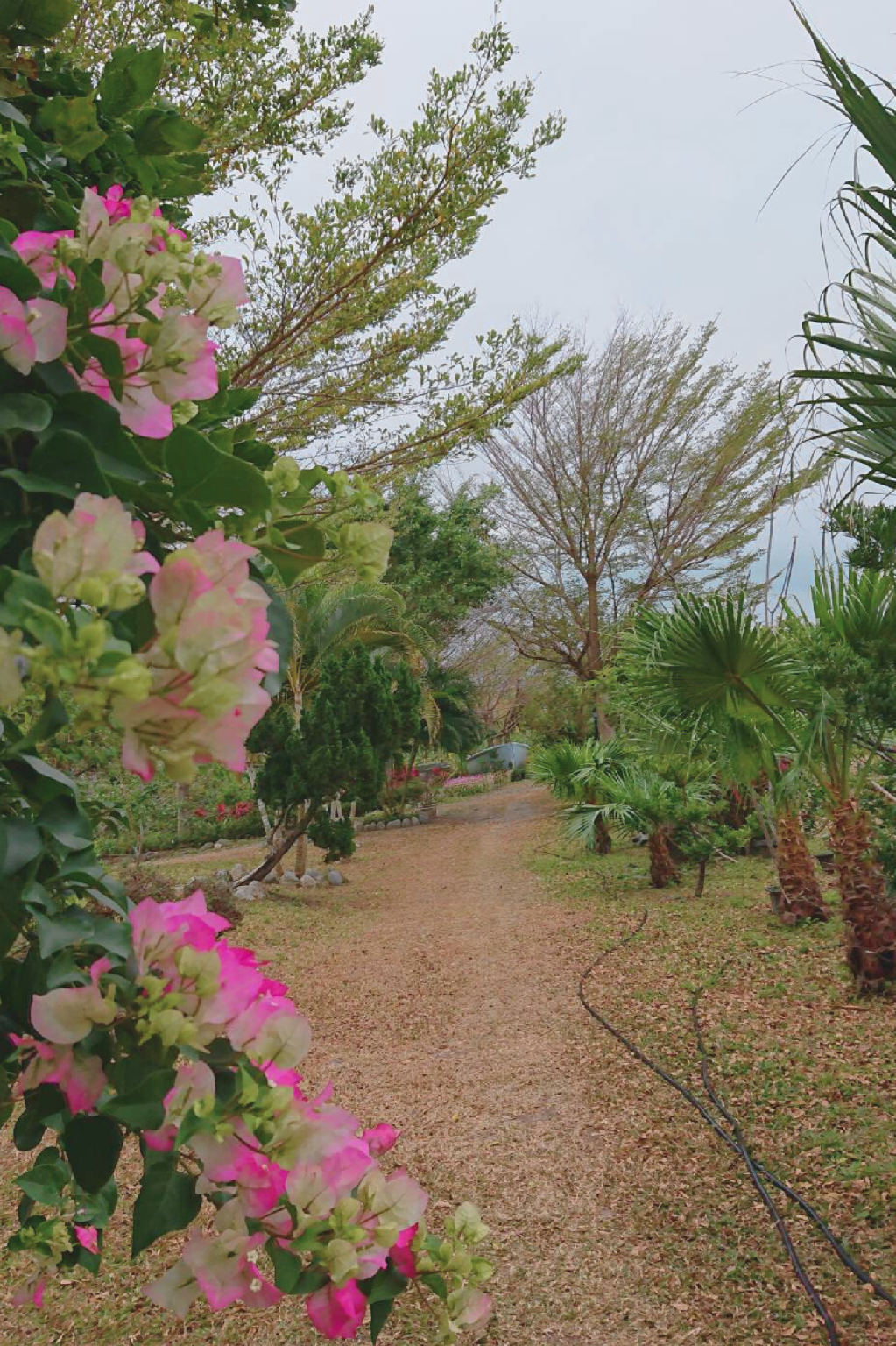 المظهر الخارجي