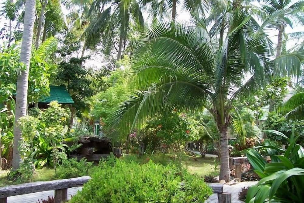 المظهر الخارجي