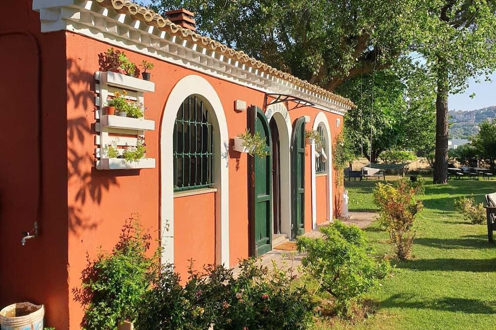 المظهر الخارجي