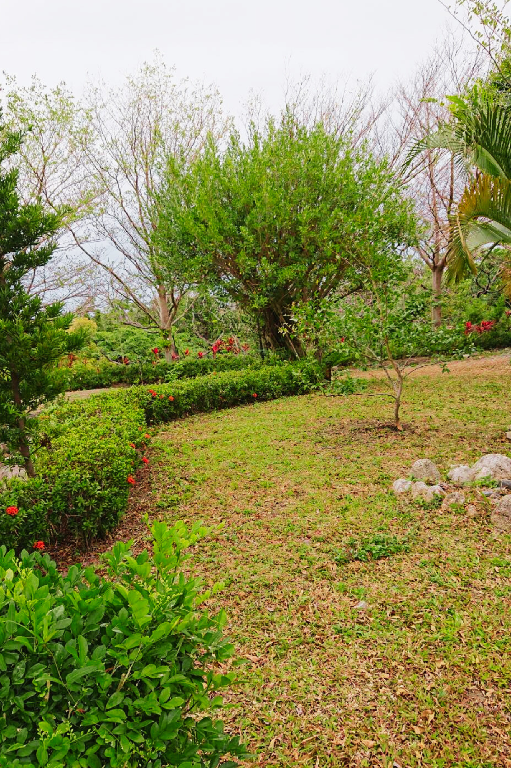 المظهر الخارجي