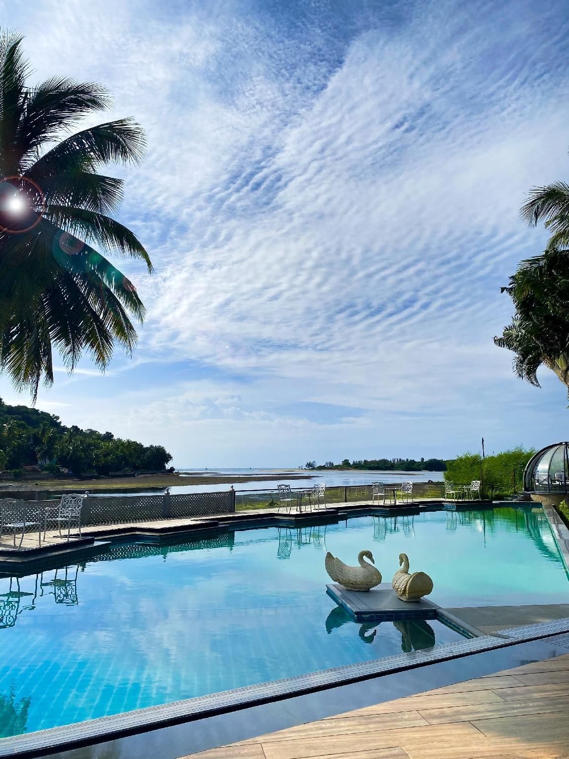 حوض السباحة صورة