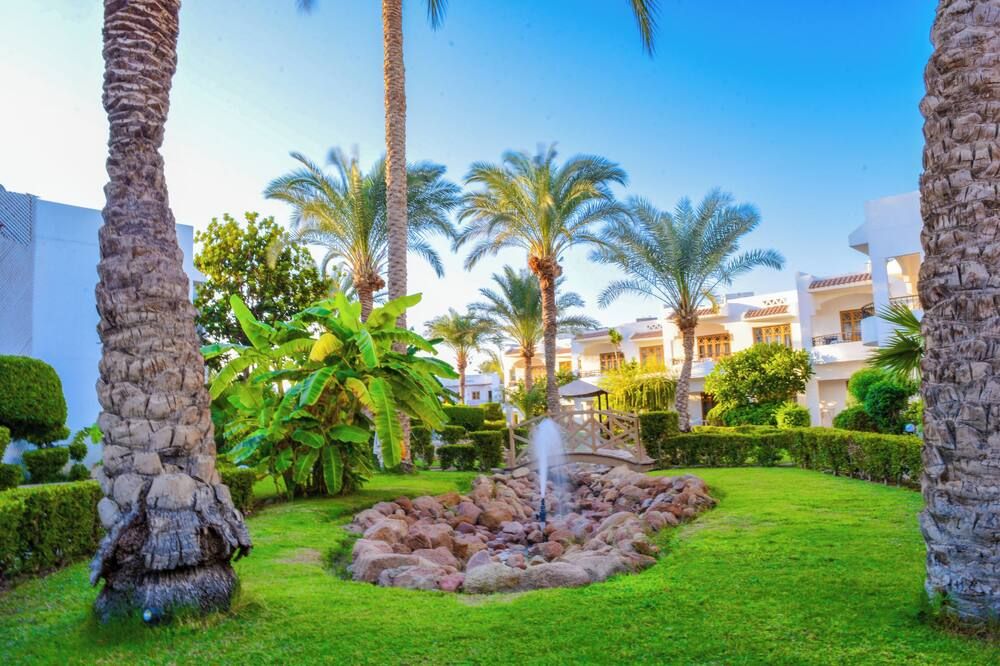 المظهر الخارجي