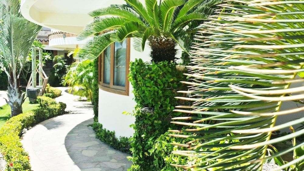 المظهر الخارجي