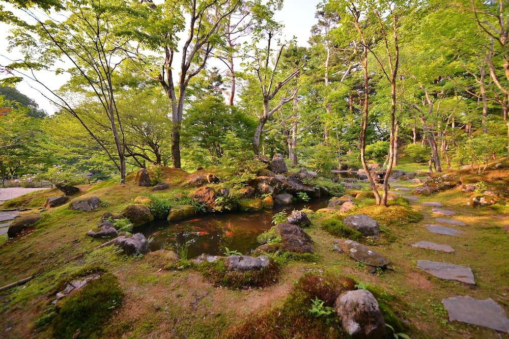 المظهر الخارجي