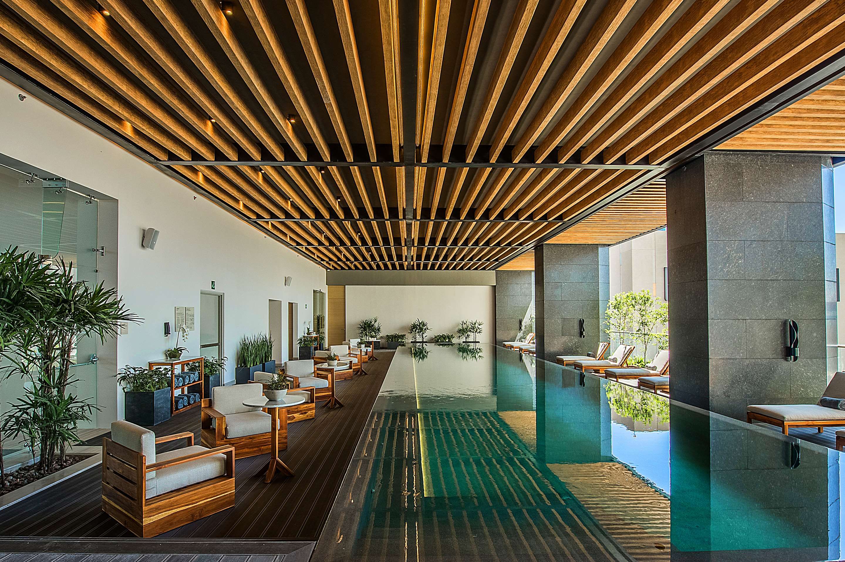 حوض السباحة صورة