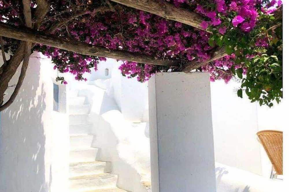المظهر الخارجي
