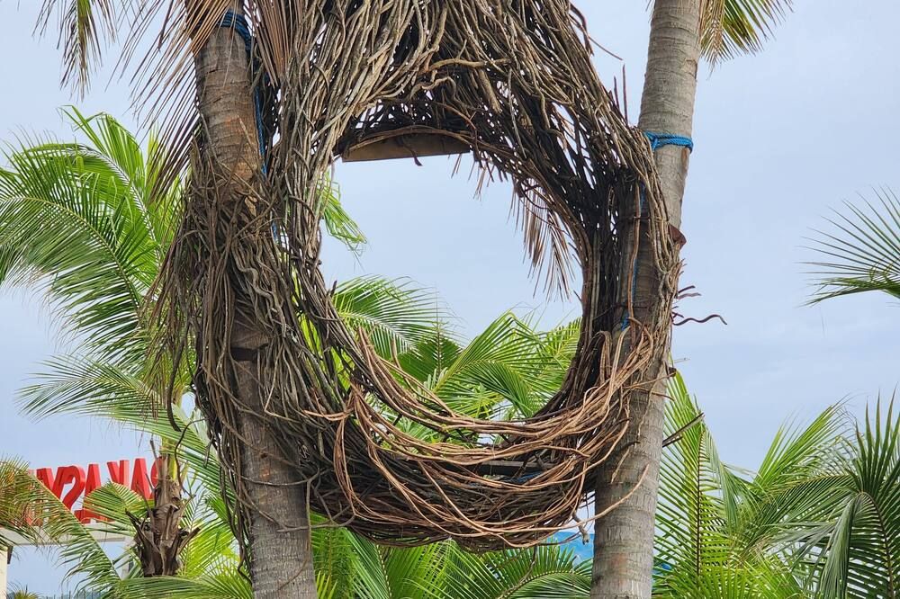 المظهر الخارجي