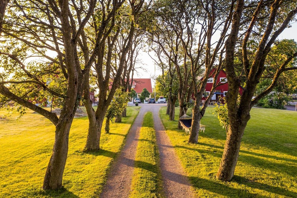 المظهر الخارجي