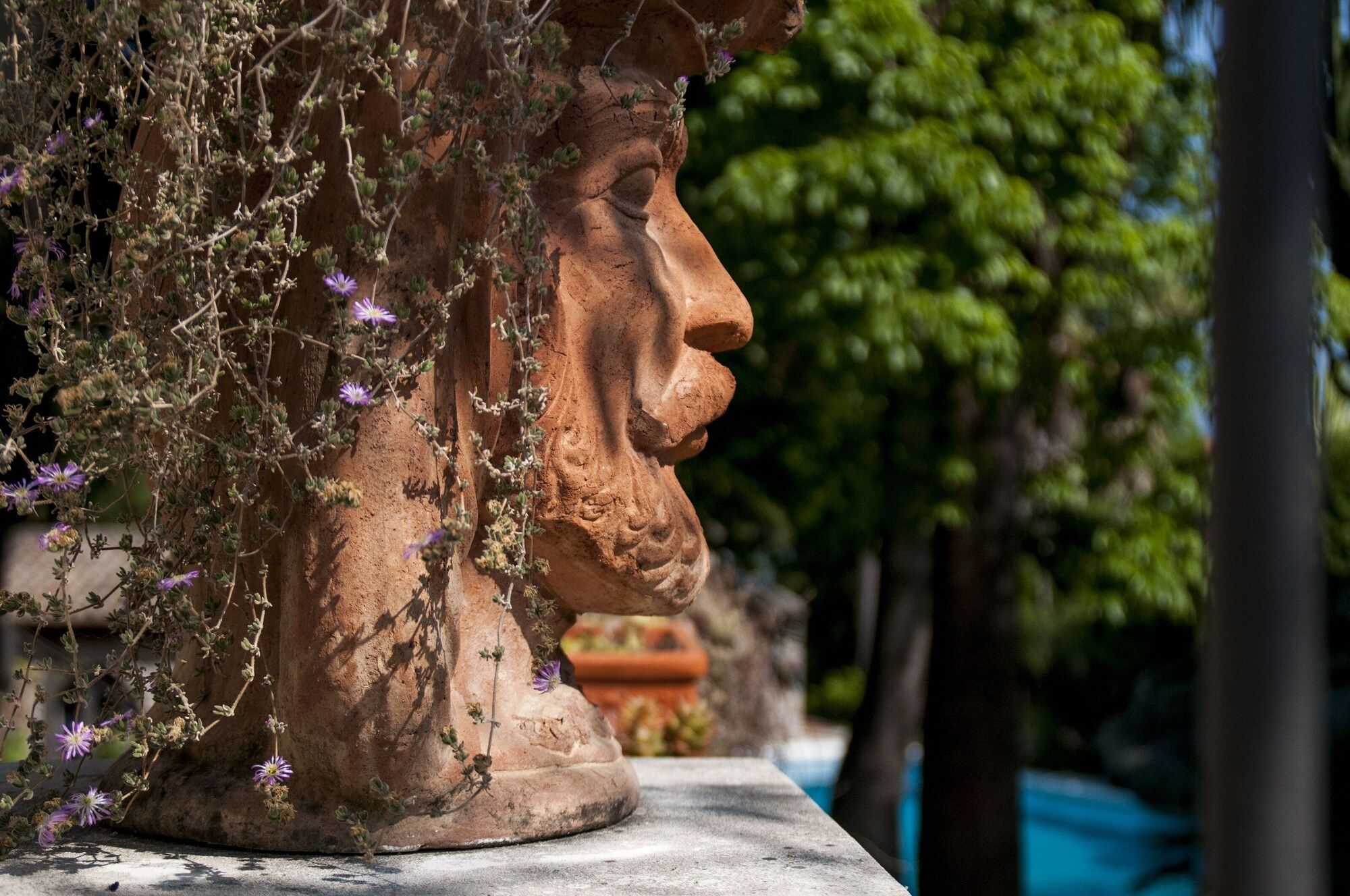 المظهر الخارجي