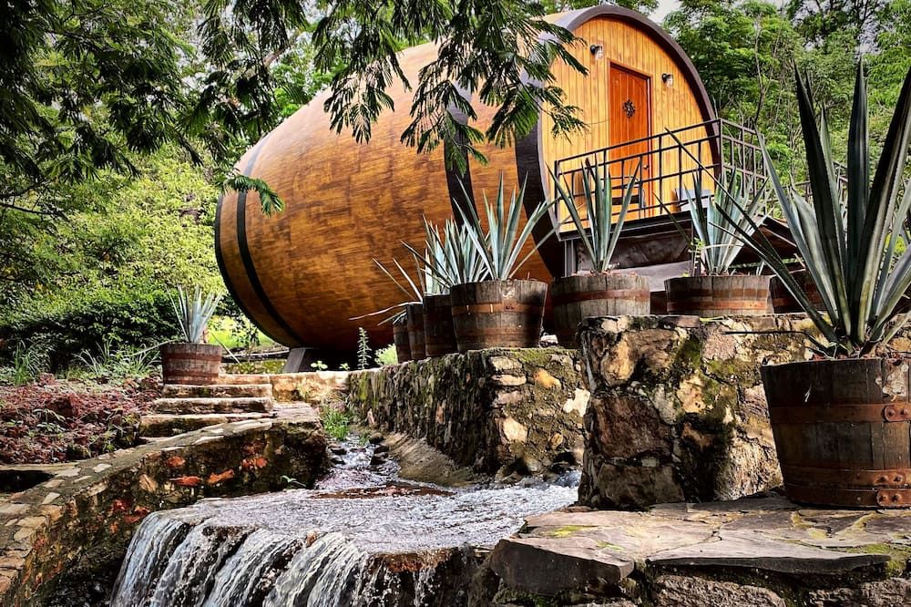 المظهر الخارجي