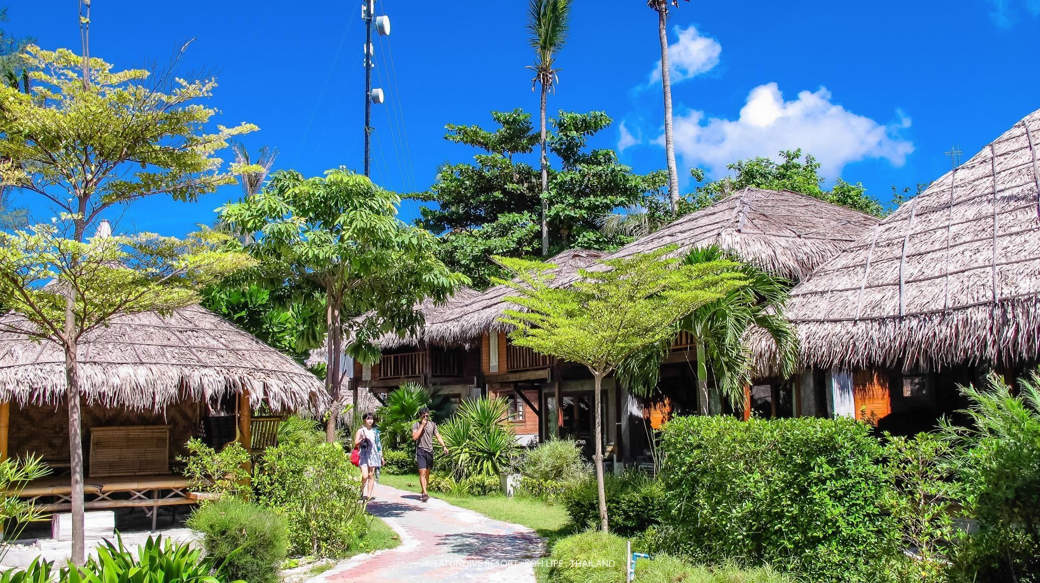 المظهر الخارجي