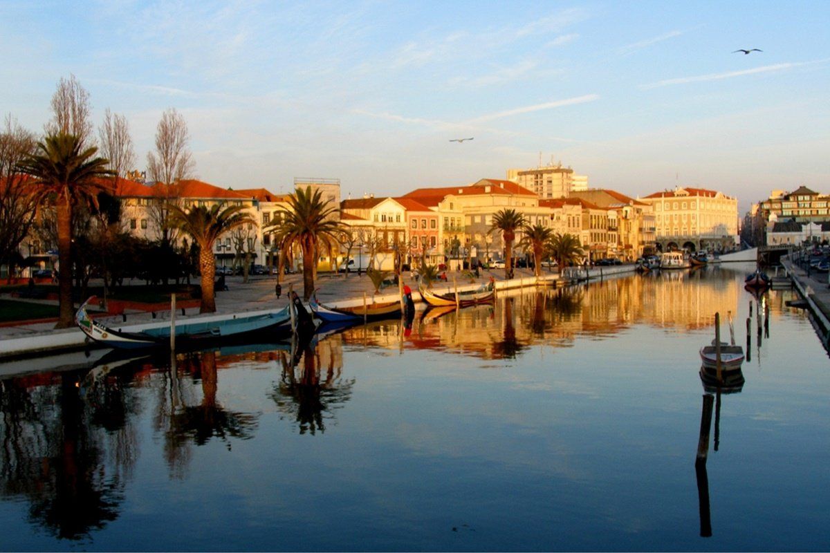 المظهر الخارجي