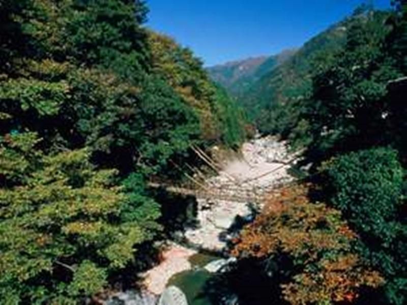 المظهر الخارجي