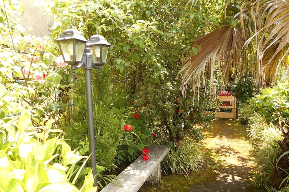 المظهر الخارجي