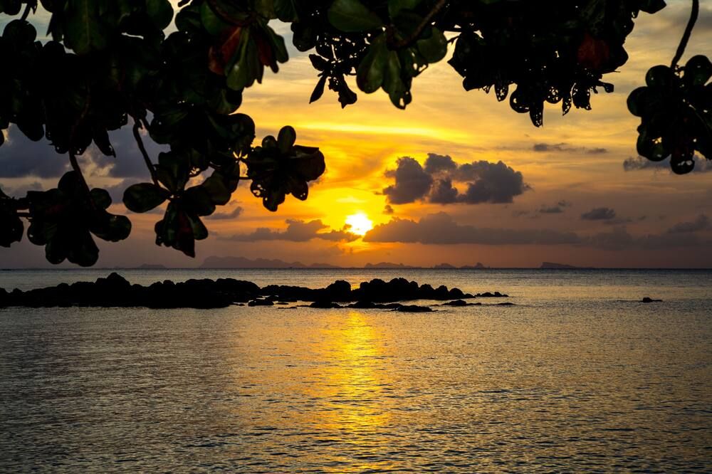 المظهر الخارجي