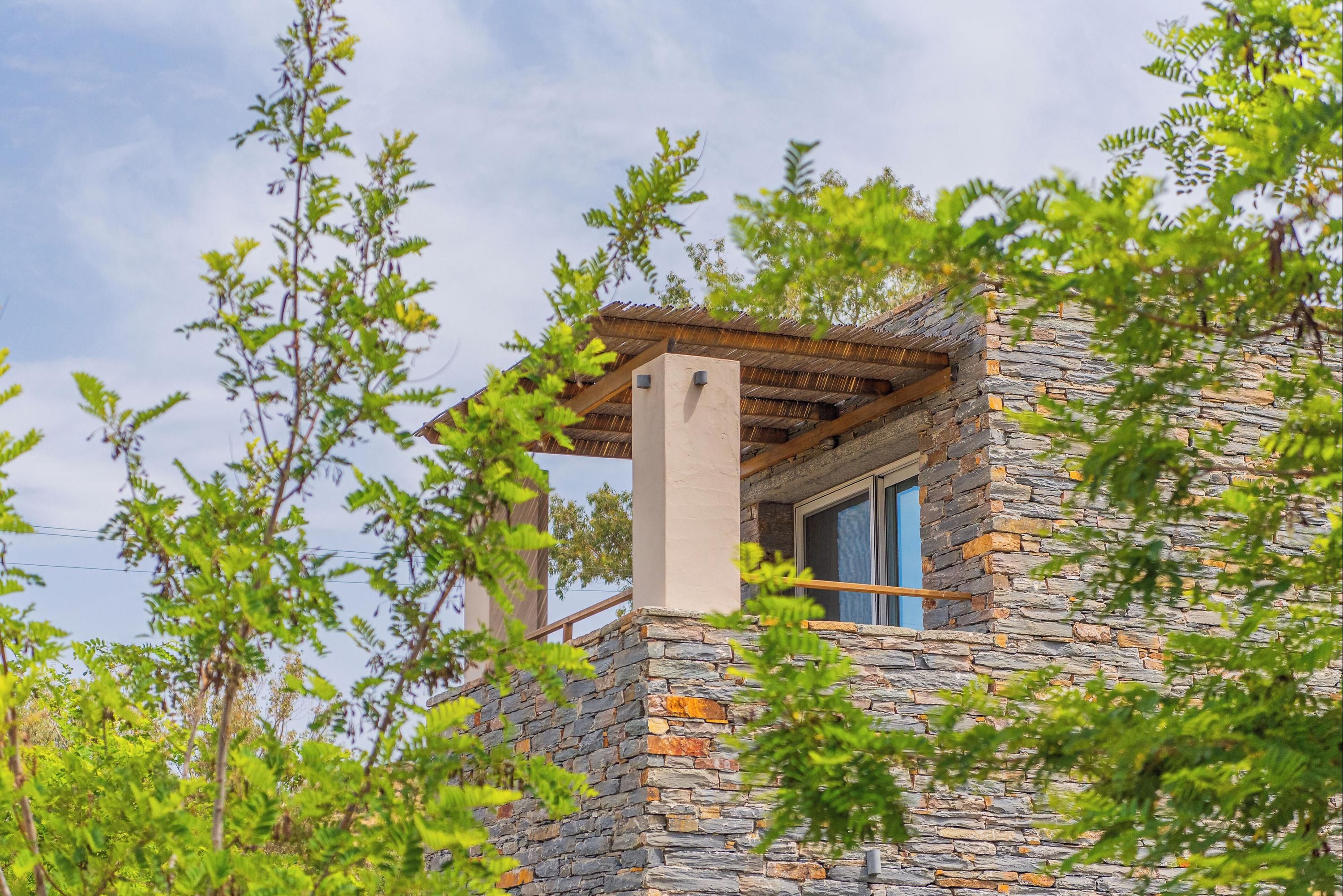 المظهر الخارجي