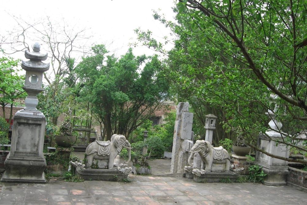 المظهر الخارجي