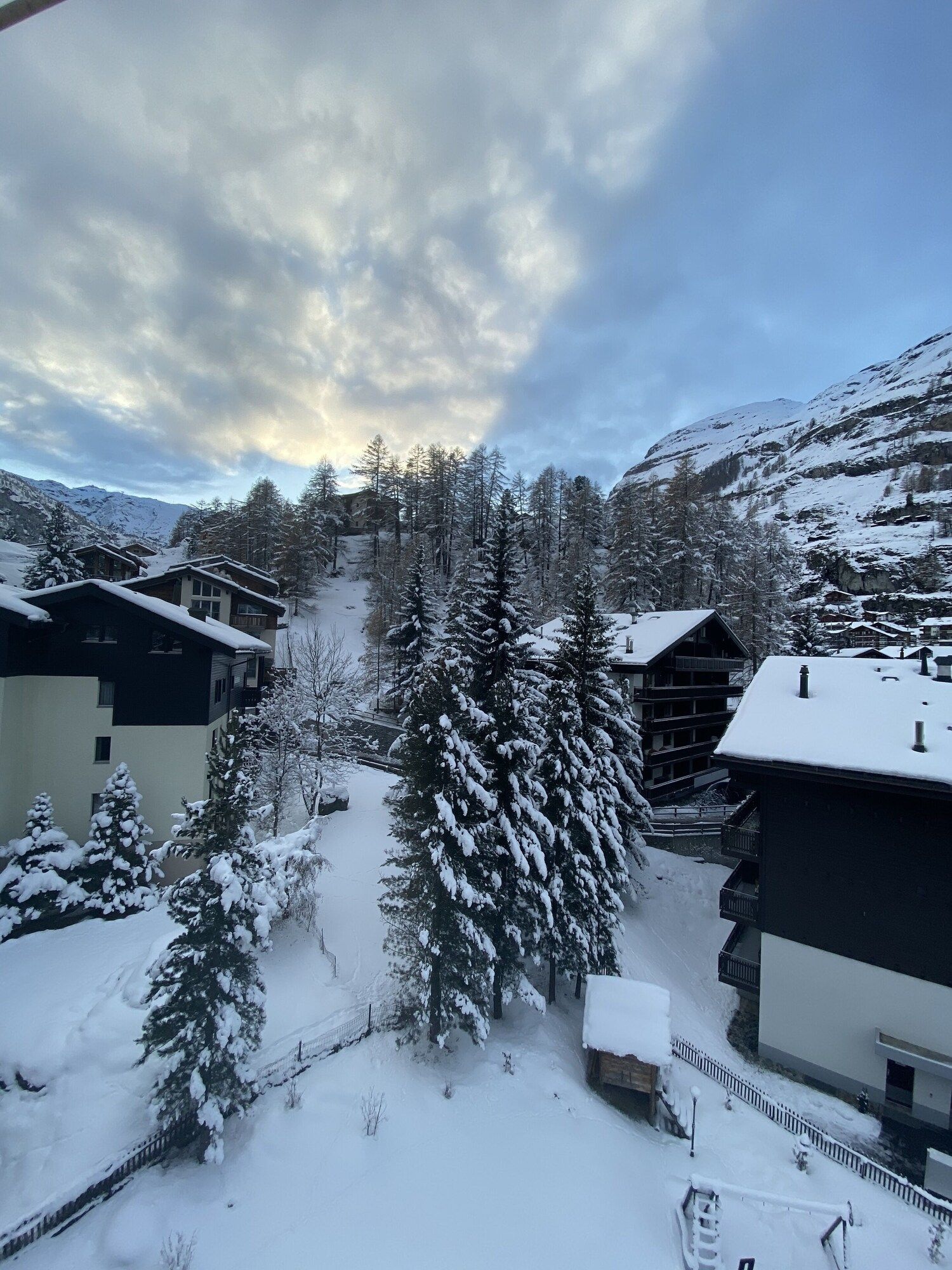 المظهر الخارجي