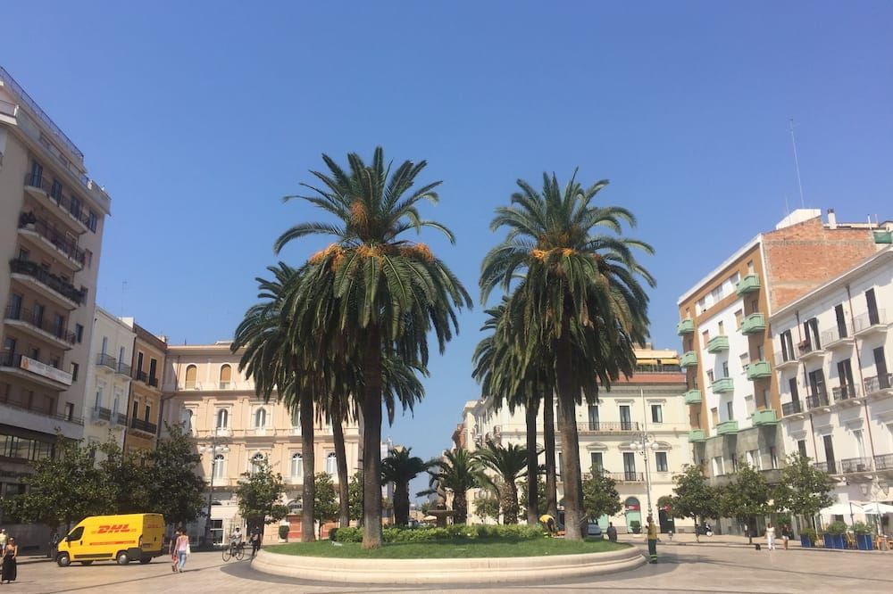 المظهر الخارجي