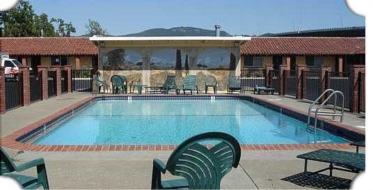 حوض السباحة