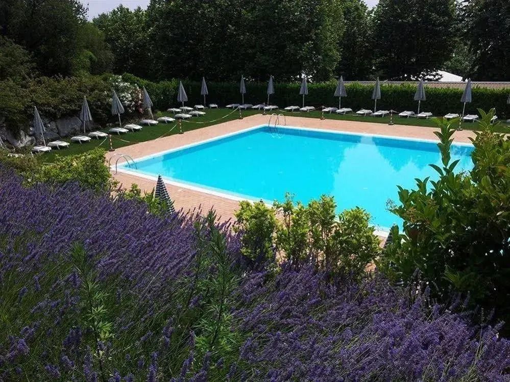 حوض السباحة