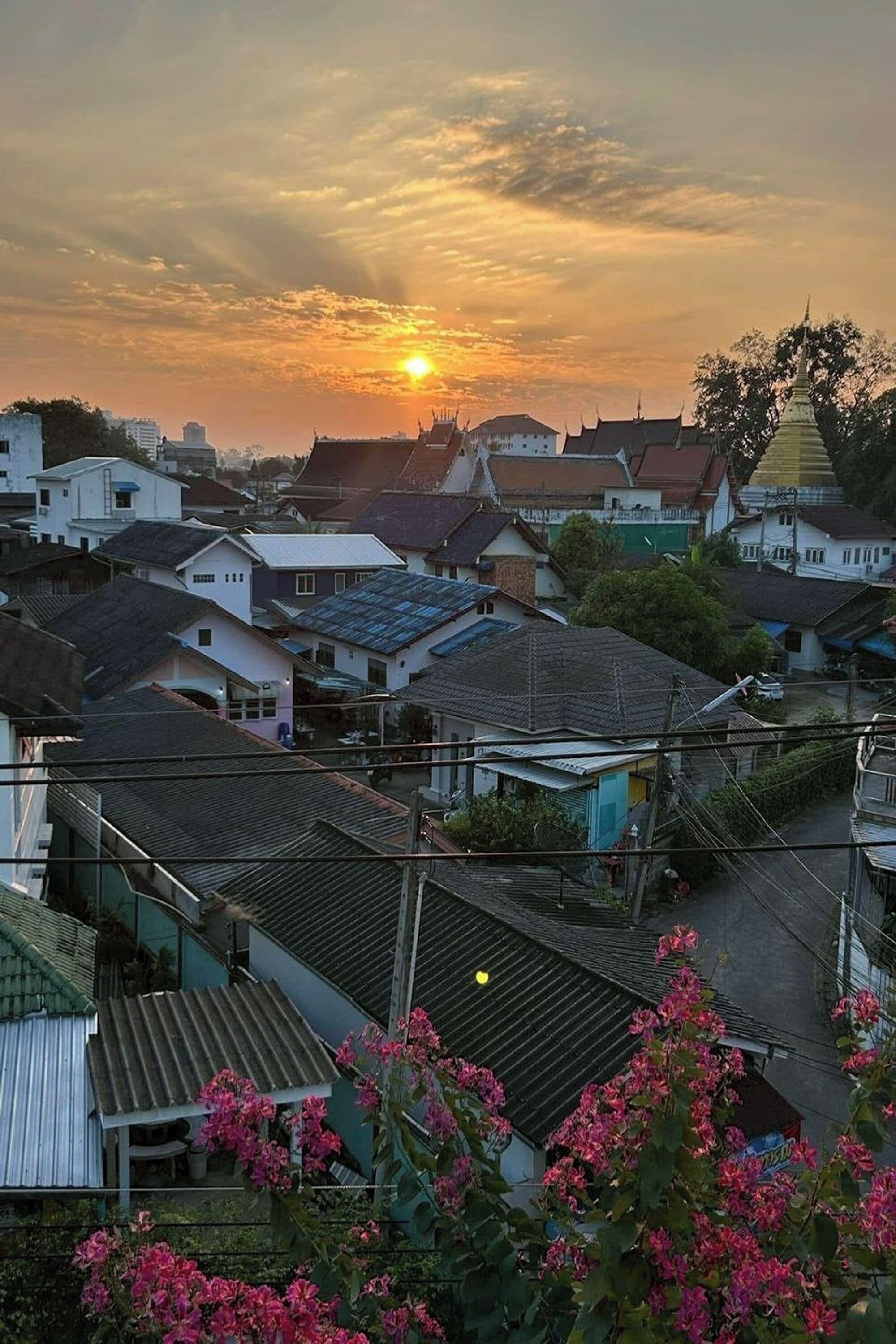 المظهر الخارجي