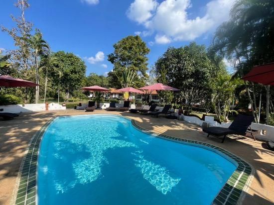 حوض السباحة صورة