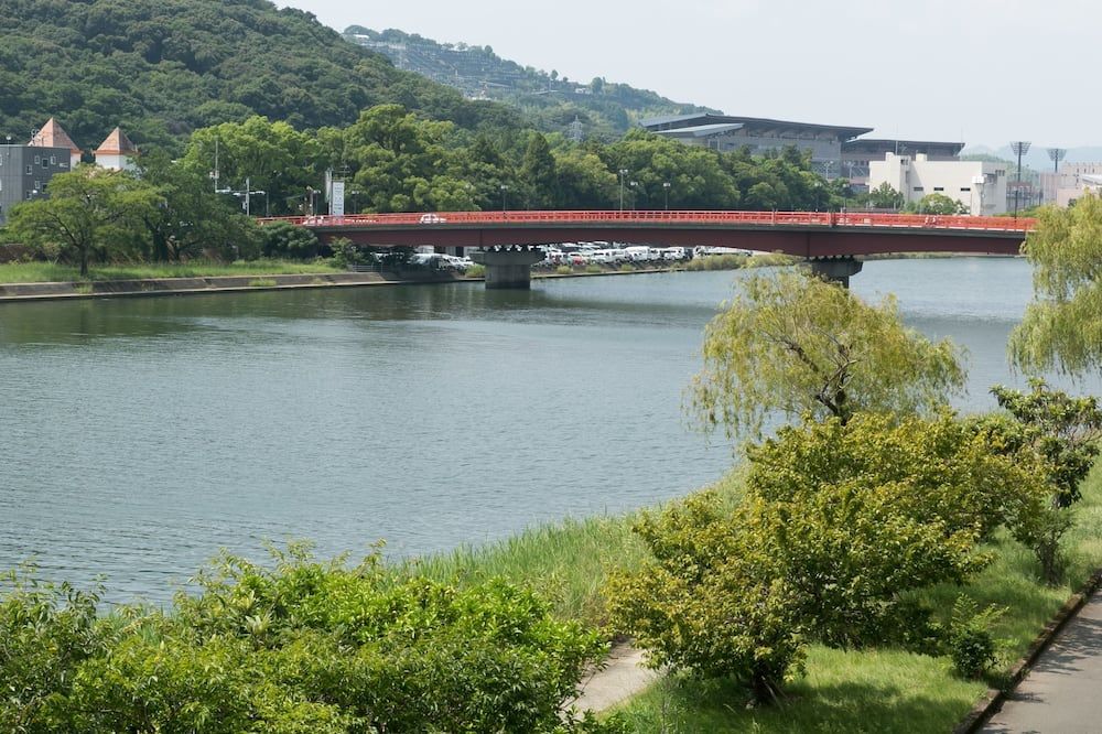 المظهر الخارجي