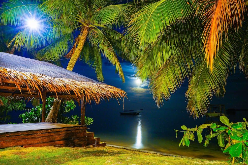 المظهر الخارجي