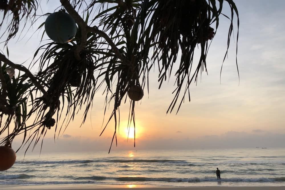 المظهر الخارجي