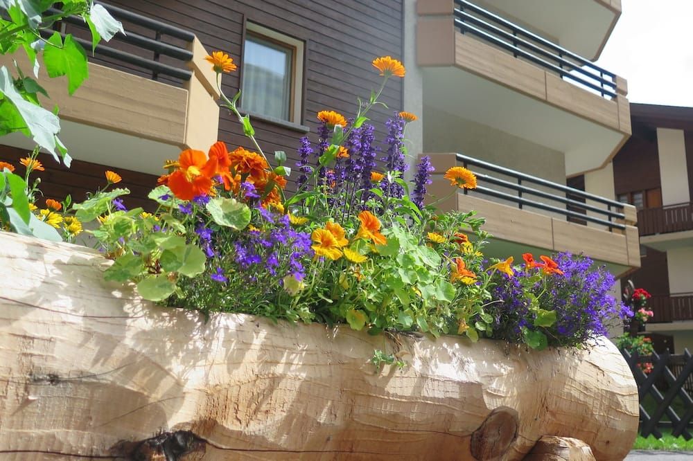 المظهر الخارجي