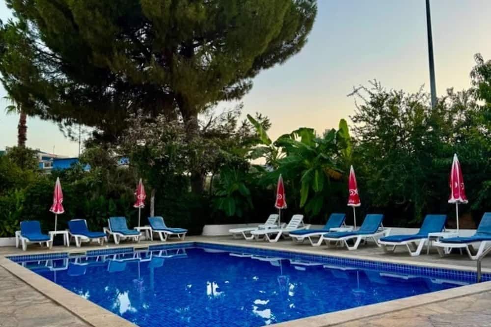 حوض السباحة