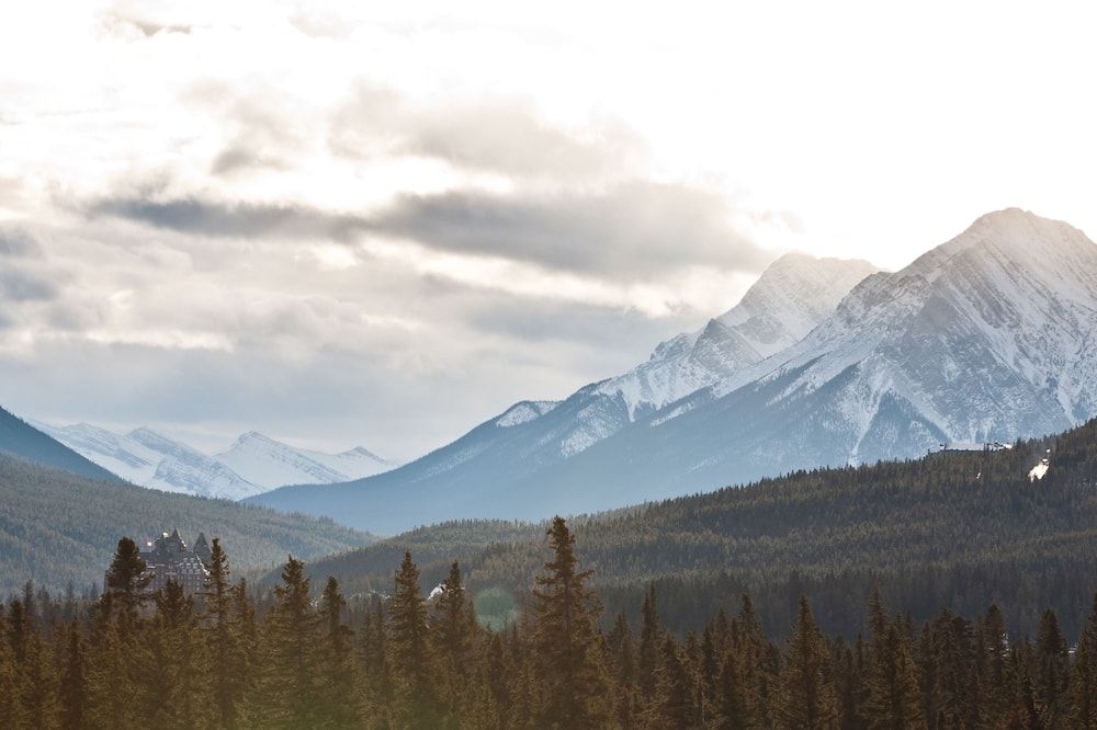 المظهر الخارجي