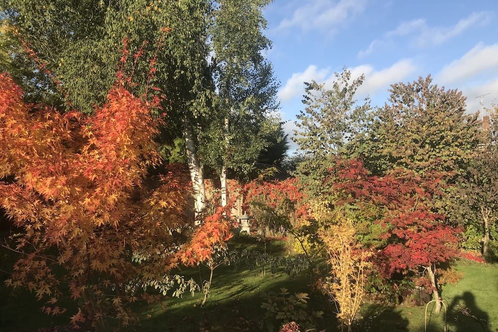 المظهر الخارجي