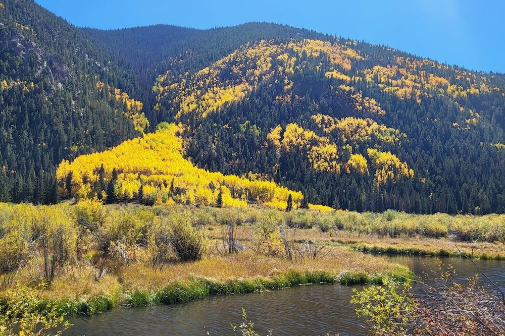 المظهر الخارجي