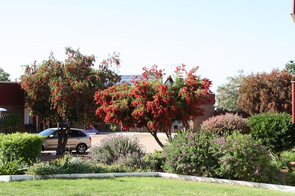 المظهر الخارجي