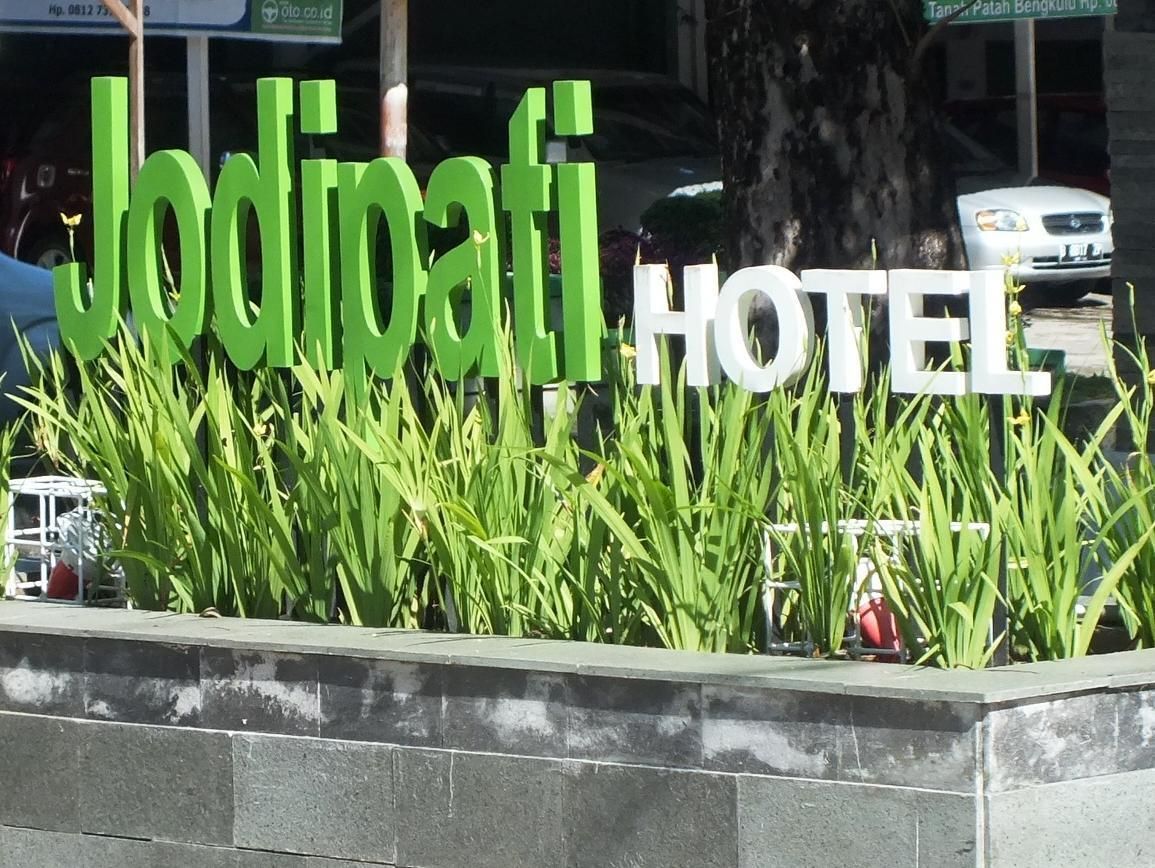 المظهر الخارجي