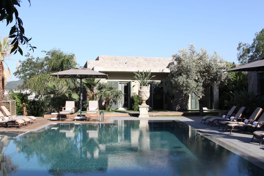 حوض السباحة صورة