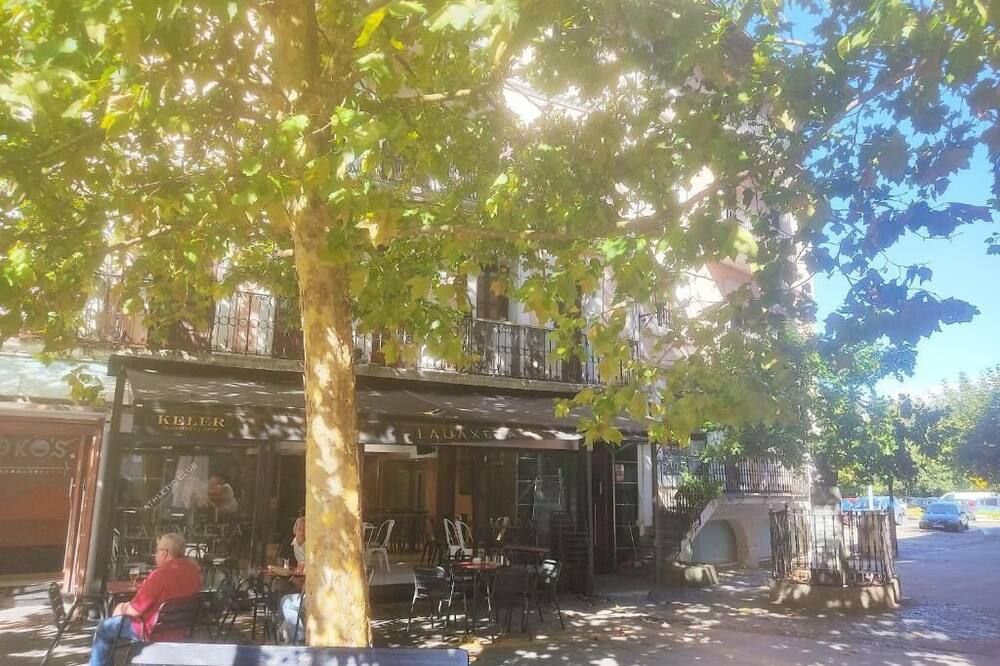 المظهر الخارجي